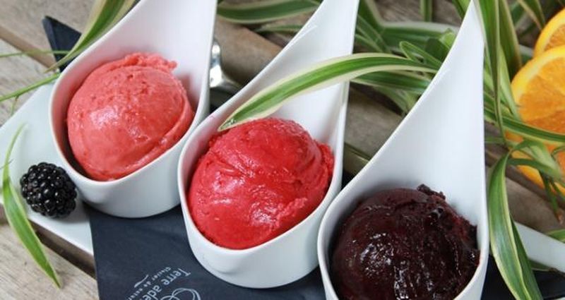 glace bio sorbet bio terre adélice lyon